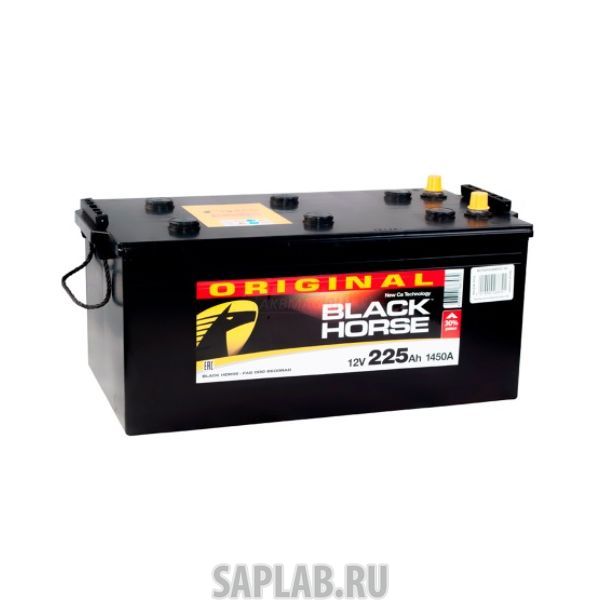 Купить запчасть BLACK_HORSE - 225EURO1450A 