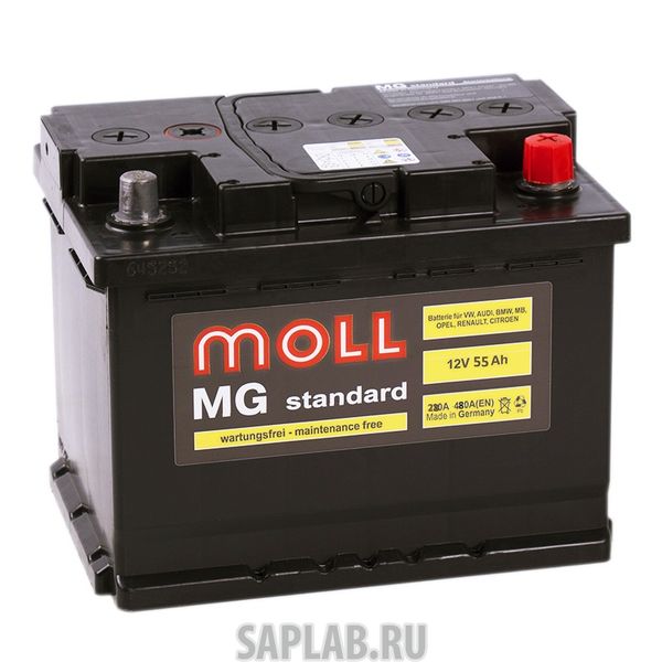 Купить запчасть MOLL - MG55R 